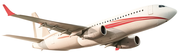 Flight